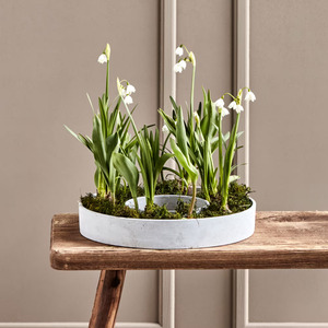 Adventsstake kubbelys, House Doctor The ring